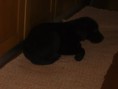 /album/fotos/dscf0201-jpg/